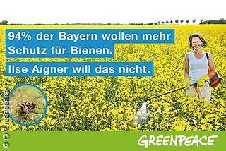 Greenpeace-Plaket