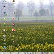 Typischer Windows-Desktop